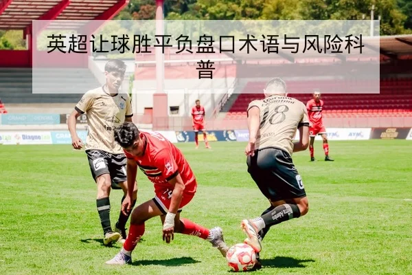 中超伤停名单更新与替补出场概率查询